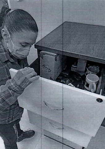 General Escobedo A black and white image of a woman looking in a filing cabinet.